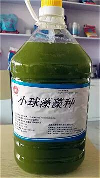 二氯苯醚菊酯溶液图片图片